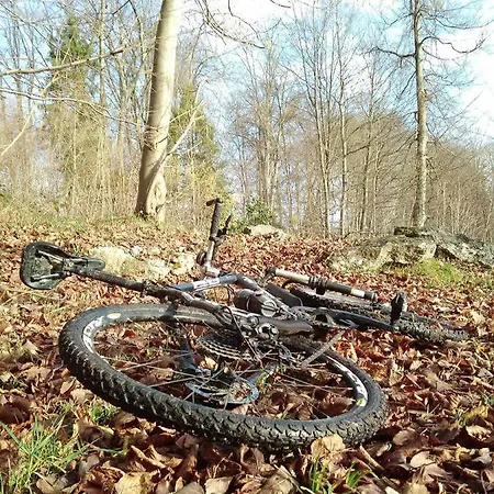 Belle Maison - Nature, Teletravail, Direct Paris *